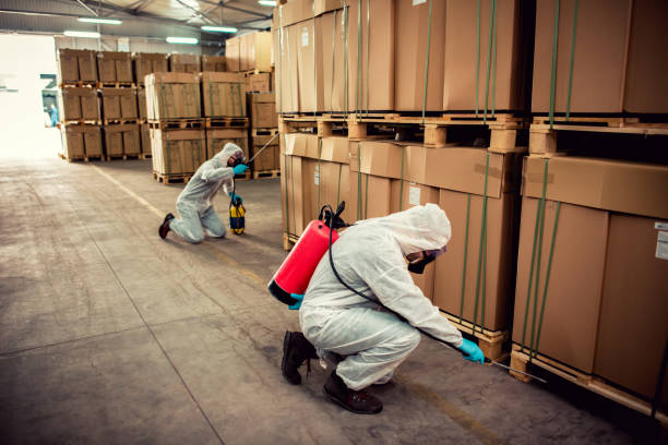 Best Pest Removal Services  in Angustura, NM