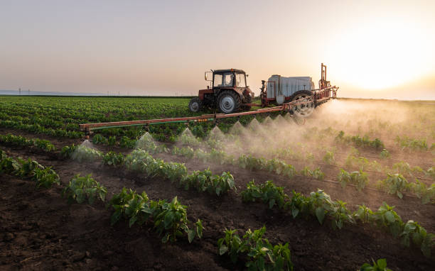 Pest Control Cost in Angustura, NM