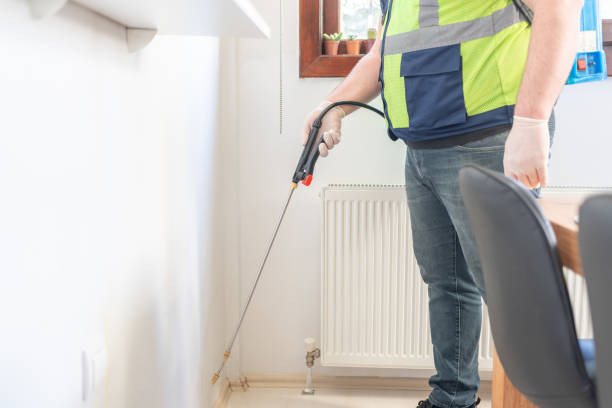 Best Ant Control Services  in Angustura, NM