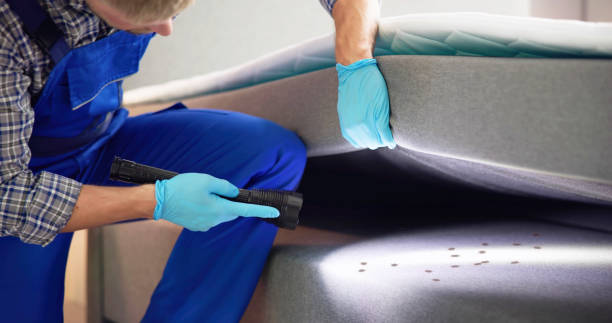 Best Best Pest Control Companies  in Angustura, NM