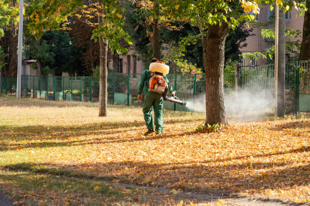 Best Local Pest Control Services  in Angustura, NM