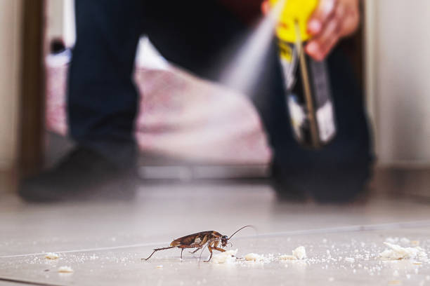 Best Wildlife Control Services  in Angustura, NM