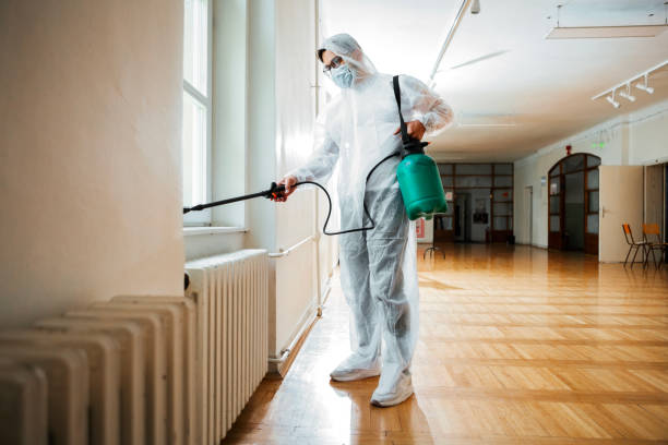 Best Cockroach Control Services  in Angustura, NM