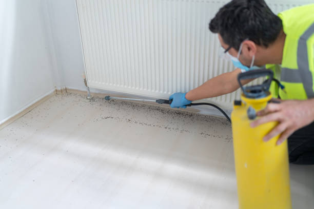 Best Affordable Exterminators  in Angustura, NM