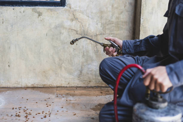 Best Affordable Pest Control Services  in Angustura, NM
